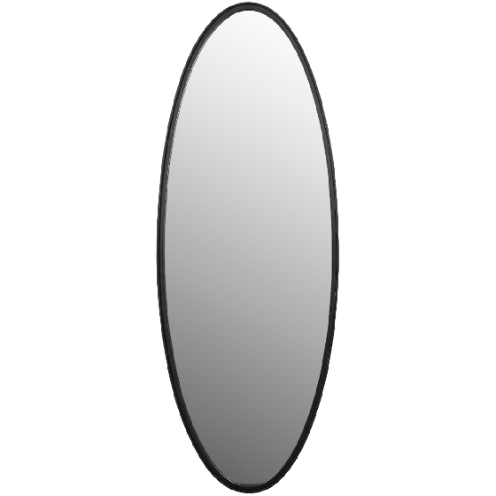 Spiegel Matz Ovaal L 