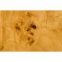 Quinn salontafel - naturel/bruin