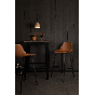 Counter Barstoel Franky 65 cm