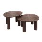 Umair salontafel set van 2 vierhoekig Maya teak - bruin