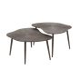 Daisy salontafel metaal leaf set van 2 - brons donkerbruin