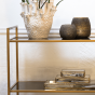 Mariki kast 100x40x90 cm smoke glas/goud van het woonmerk Light&Living
