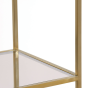 Mariki kast 55x40x180 cm bruin glas/licht goud van het woonmerk Light&Living