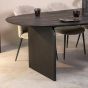 Cooper eettafel 250x110 cm mangohout