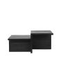 Skip salontafel 90x50x40 cm - zwart mangohout