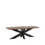 Zane salontafel 120x56x40 cm - espressso mangohout
