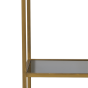 Mariki kast 55x40x180 cm smoke glas/goud van het woonmerk Light&Living