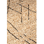 Vloerkleed Ishank 200x300 cm 