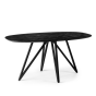 Dotan eettafel ovaal 160x90 cm
