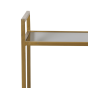 Mariki kast 55x40x180 cm smoke glas/goud van het woonmerk Light&Living