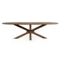 Tycho eettafel ovaal 260x110 cm