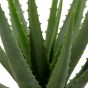 Aloë Vera Kunstplant Groen 46 cm
