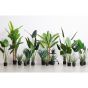 Aloë Vera Kunstplant Groen 46 cm
