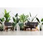 Bananenplant Kunstplant Groen 