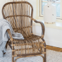 Fauteuil Bandung rotan bruin van het woonmerk Light & Living