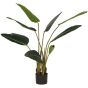 Kunstplant Strelitzia van het woonmerk WOOOD