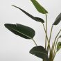 Kunstplant Strelitzia van het woonmerk WOOOD