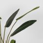 Kunstplant Strelitzia van het woonmerk WOOOD
