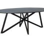 Eettafel Oslo Ovaal Zwart 200 cm - Web Poot