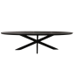 Eettafel Brandy ovaal 180 cm - zwart