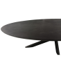 Eettafel Brandy ovaal 160 cm - zwart