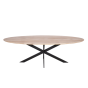 Ferris eettafel ovaal 240 cm