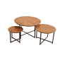 Salontafel RichWood set van 3 - naturel