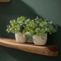 Woody wandplank set van drie