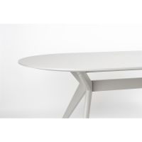 Tyler eettafel ovaal 220 cm - beige
