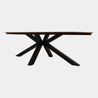 Arezzo tuintafel ovaal polywood teaklook 240x110 cm van het woonmerk Les