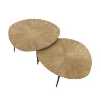 Fraaai Samia salontafel set van 2 organisch - brons