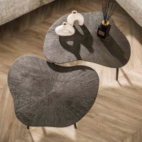 Fraaai Daisy salontafel metaal leaf set van 2 - brons donkerbruin