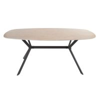 Fraaai Dexter Deens ovale eettafel - 180 cm - keramiek