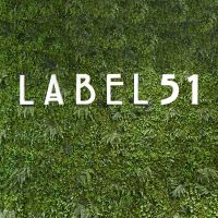 Label51 Panel wanddecoratie kunststof - groen