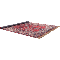 Vloerkleed Bid 200x300 cm