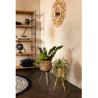 Plantenstandaard Botanique Groot