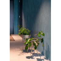 Plantenstandaard Botanique Groot