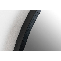 Spiegel Matz Ovaal L 