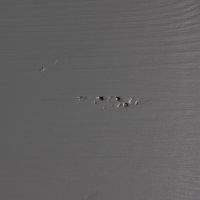 Dennis ladekast grenen - grijs