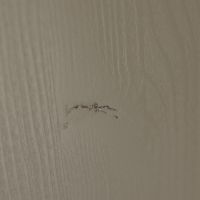 Alfie kledingkast 160 cm - grenen forest