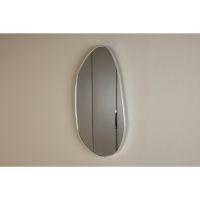 Salvo organische spiegel - 30 x 55 cm - zilver