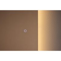 Farah gebogen spiegel met led verlichting - 185 x 70 cm