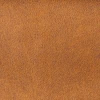 Jack hocker - cognac