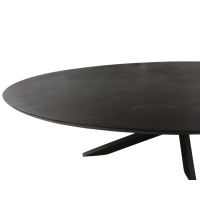 Starfurn Eettafel Brandy ovaal 160 cm - zwart