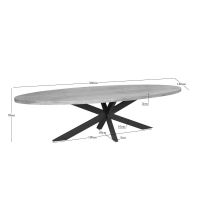 Starfurn Eettafel Dakota ovaal 300 cm - naturel