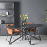 Marble eettafel ovaal 200 cm marmer web van het woonmerk Livingfurn