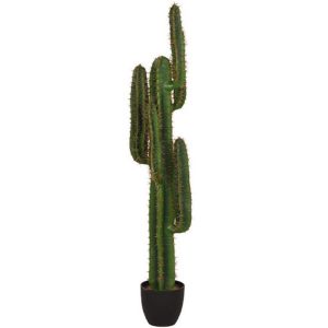 Kunstplant Cactus 30x25x130 cm
