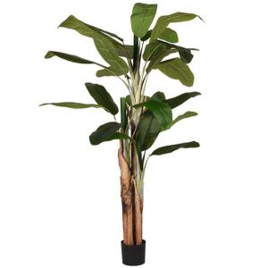 Kunstplant Musa / Bananenplant 110x110x180 cm