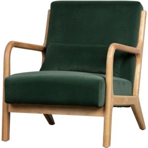 Fauteuil Mark Fluweel Flesgroen