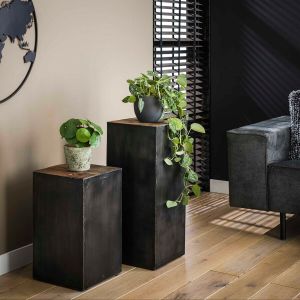 Plantentafel / Bijzettafel Roger 